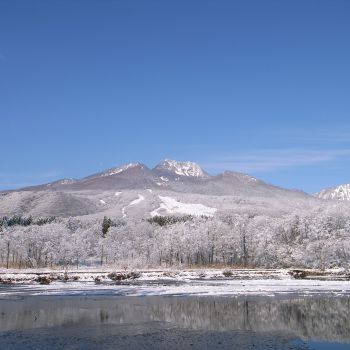 いもり池