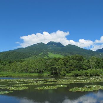 いもり池