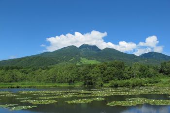 いもり池