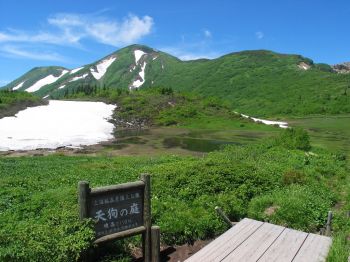 天狗の庭