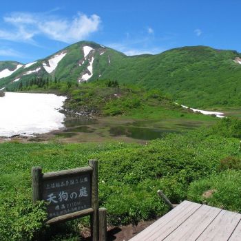 天狗の庭