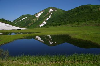 天狗の庭