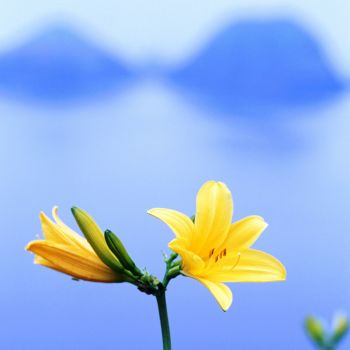 佐渡外海府