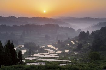 星峠の棚田