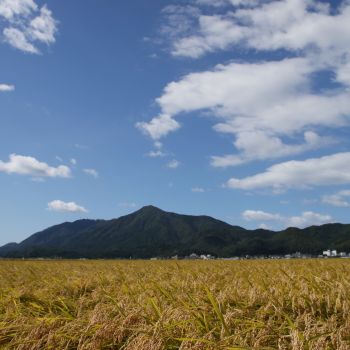 越後平野