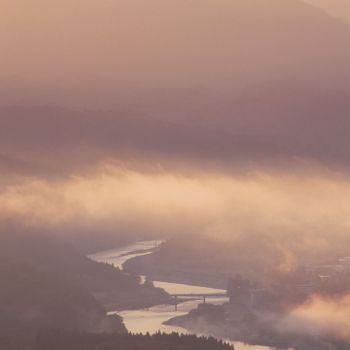 阿賀野川ライン
