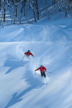 松之山温泉スキー場