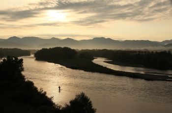 三面川