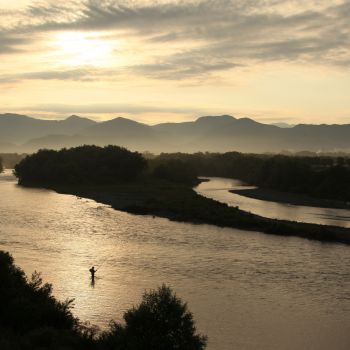 三面川
