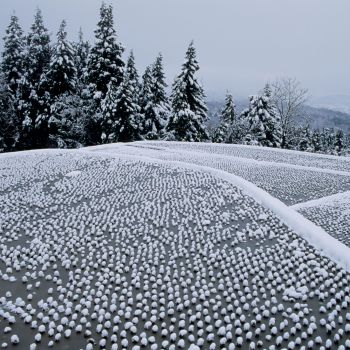 雪