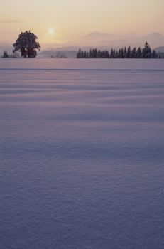 雪