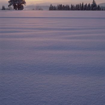 雪