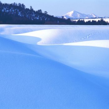 雪