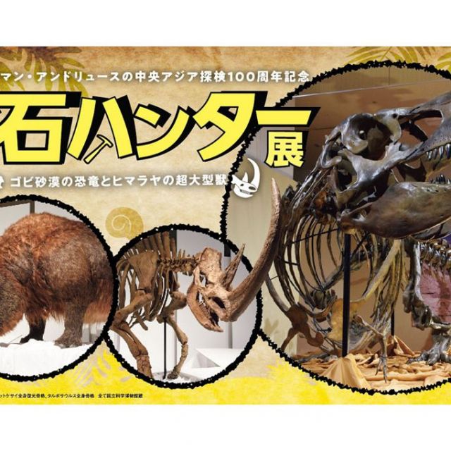 新潟県立万代島美術館 企画展「化石ハンター展 ～ゴビ砂漠の恐竜とヒマラヤの超大型獣～」